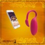 APP FLAMINGO RC MUSIC CONTROL SMART VIBRATOR DSBACV-001