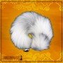 REAL FOX TAIL PICKY PLUG ANUS TOY DSBAD-009